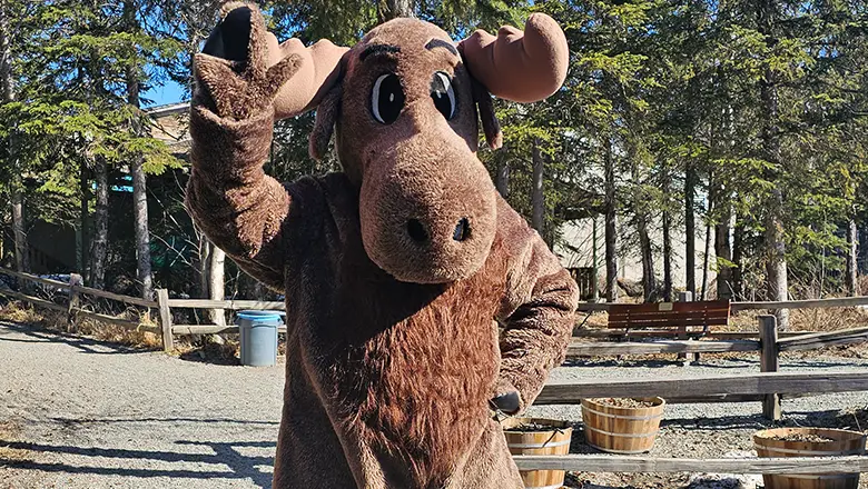 Alaska Zoo 2024 moose custom