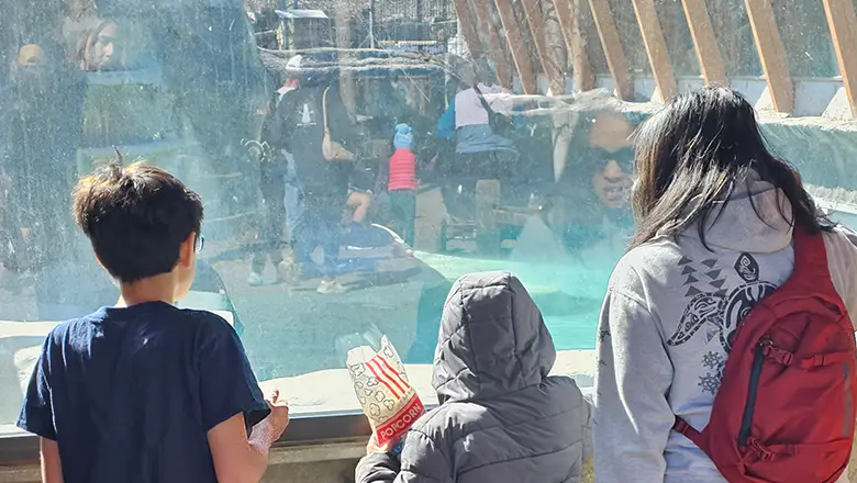 Alaska Zoo 2024 overlooking pool